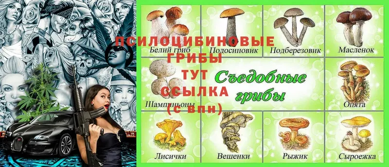 darknet формула  Рославль  Псилоцибиновые грибы Magic Shrooms  где купить наркотик 